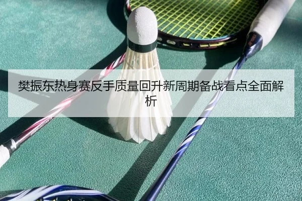 樊振东热身赛反手质量回升新周期备战看点全面解析